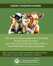 Aydın'da Hayvancılık Desteklemeleri Askıda!
