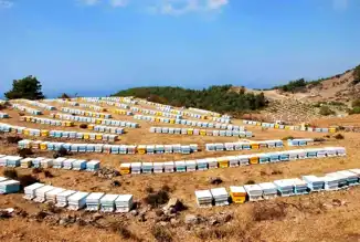 Söke Arıcılarına 6,7 Milyon TL Destek