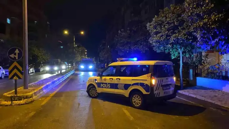 Şiddetli Rüzgar Yola Ağaç Devrdi, Trafik Durdu