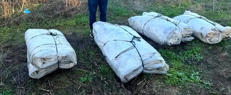 Sultanhisar'da Sera Naylonu Hırsızlığı: Bir Şüpheli Tutuklandı